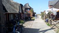 Hallig Hooge, die Königin der Halligen
