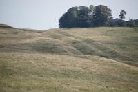 Die Stanegate (Vorgängerbau zum Hadrianswall)