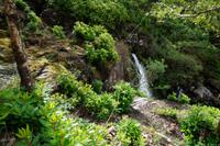 Bei Loch Lomond
