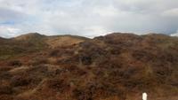 Insel Sylt