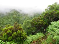 Wanderung auf Sao Jorge