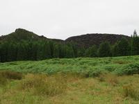 Wanderung Misterios Negros 