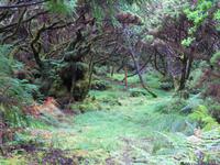 Wanderung Misterios Negros 