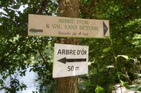 04 Im Wald von Brocéliande 