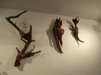 Fürstentum Liechtenstein Walser Museum 