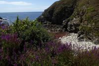 11 Wanderung entlang GR 34 zur Pointe du Raz 