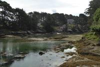 17 Wanderung an der Rosa Granitküste von Trégastel bis Trestraon 