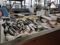 Frischer Fisch
