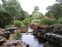 Japanischer Garten