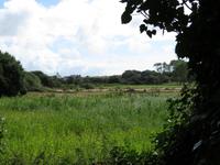 Corbiere-Walk