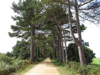 Corbiere-Walk