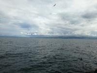 Genfer See