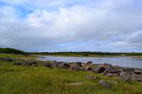 Wanderung im Coole Park