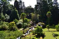 Powerscourt Gardens
