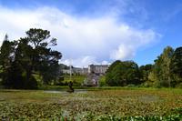 Powerscourt Gardens
