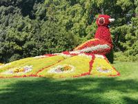 Mainau