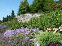 Mainau