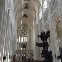 die Kathedrale Leuven