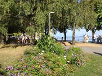Bregenz Uferpromenade