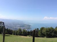 der Bodensee vom Pfänder aus