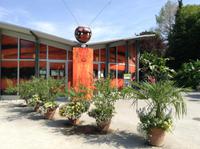 vor dem Schmetterlingshaus