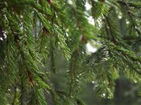 Lahemaa-Nationalpark