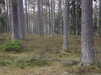 Lahemaa-Nationalpark