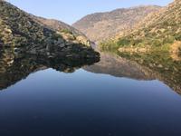 Flusslandschaft Douro