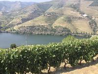 Blick in Douro-Tal
