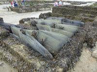 Cancale - Austernbänke