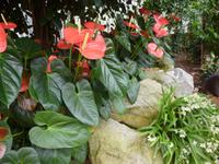 Raffeiner Orchideenwelt