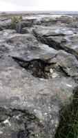 Burren (2)