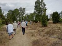 Spaziergang in der Heide