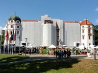 Celle