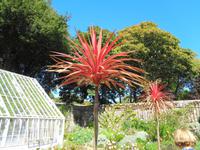 Sark - La Seigneurie 