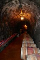 Weinkeller Schloss Rametz