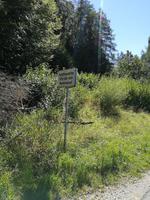 Radtour zum Fuschlsee