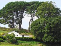 Guernsey 