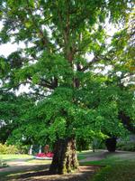 Guernsey - St. Peter Port