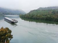 Mosel bei Brodenbach
