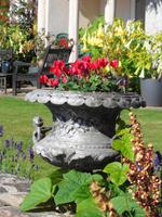 Jersey -  Privatgarten von Mrs. Lea 