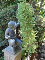 Jersey -  Privatgarten von Mrs. Lea 