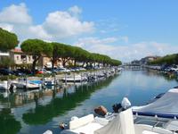 Grado (2)