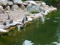 Vogelpark Walsrode