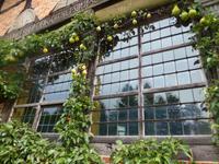 Freilichtmuseum Hösseringen