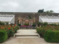 Powerscourt Gardens 1