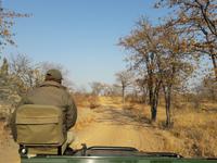 Timbavati Game Reserve - Safari