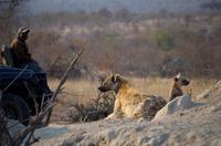 Timbavati Game Reserve - Safari