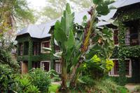 Hazyview - Hippo Hollow Estate