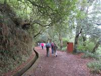 08-Gruppe beim Spaziergang entlang der Levada